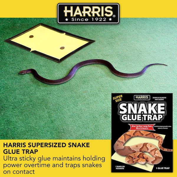 Harris Snake Glue Trap Super Size 3SNAKE-1