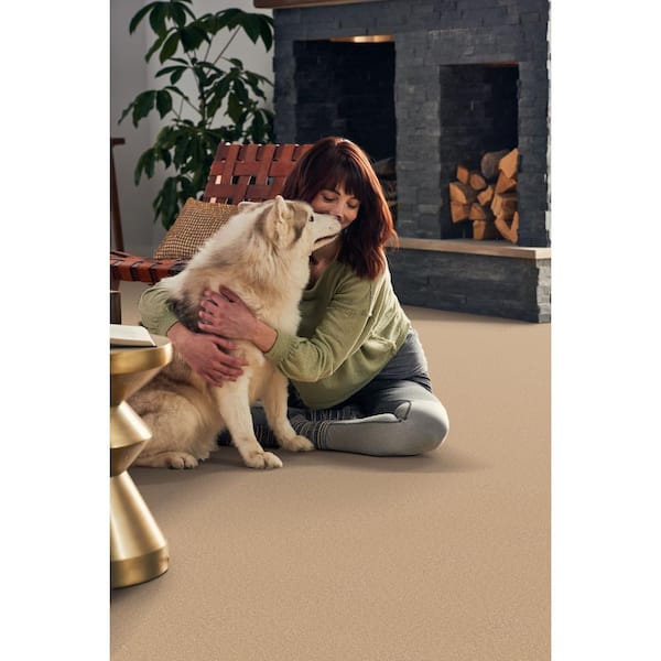 Sycamore II - Teak - Brown 58 oz. SD Polyester Texture Installed Carpet