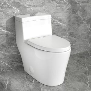 12 in. Rough-In 1-piece 1.6/1.1 GPF Dual Flush Elongated Toilet in White Slow Close Seat Included