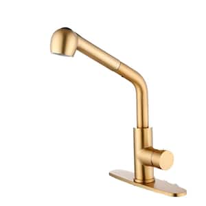 Single Handle Pull Down Sprayer Kitchen Faucet with Pull Out Spray Wand in Gold