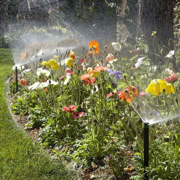 アミン リファインpro sp アミン リファイン PRO SP