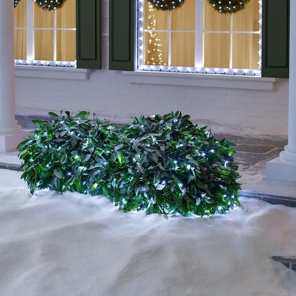 150 Count Cool White Steady Lit Mini LED Net Lights