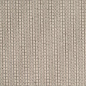 6 in. x 6 in. Pattern Carpet Sample - Longmont - Color Coastal