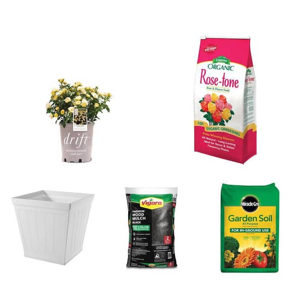 Lemon Drift Rose Bush (2-Pack), 8 lb. Rose Food, 20 in. Resin Planter, 2 cu. ft. Mulch and 0.75 cu. ft. Garden Soil
