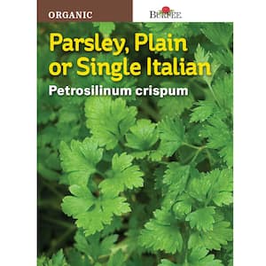 Herb Single Italian Plain-Leafed Organic Parsley Seed