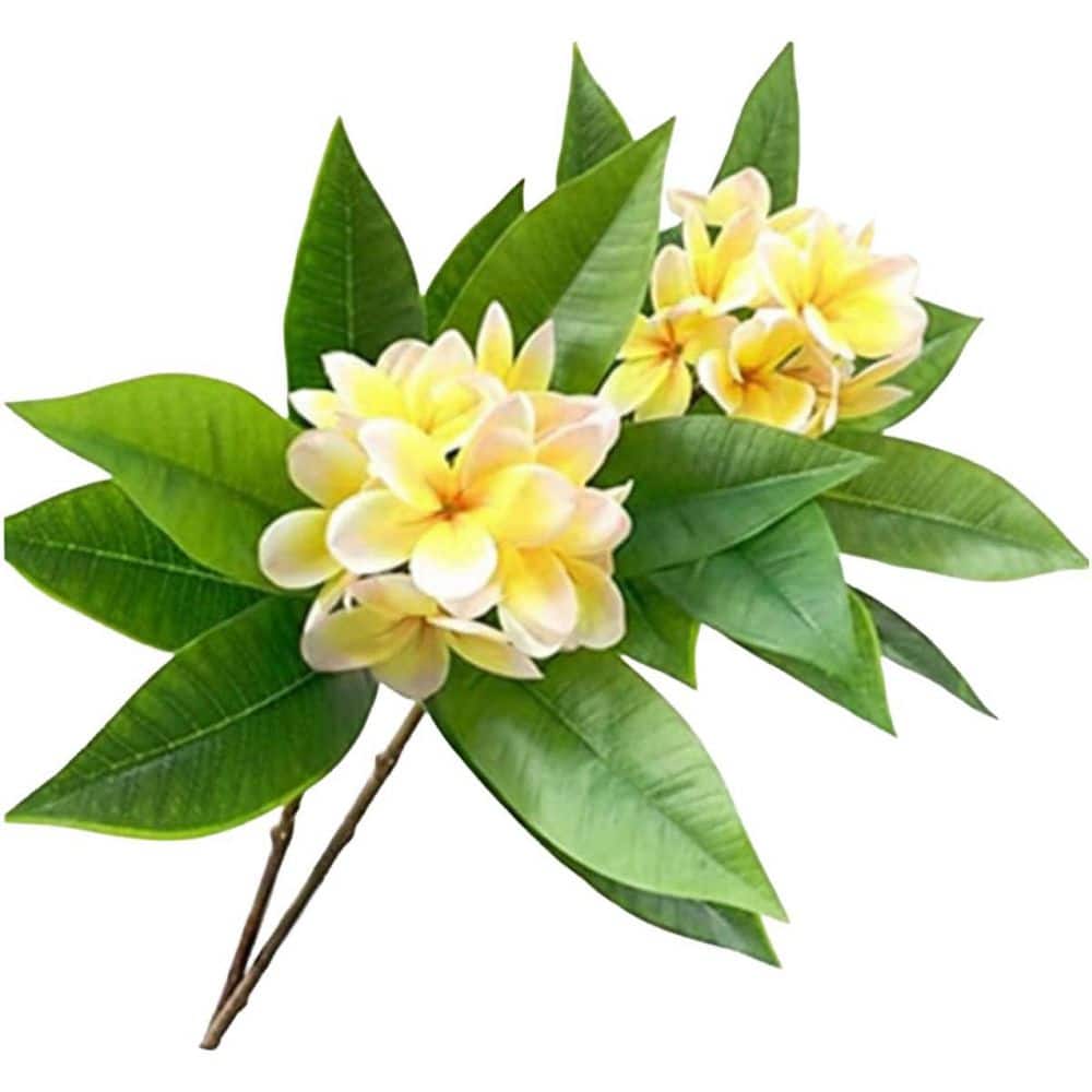 35.5 in. Artificial Yellow Indoor/Outdoor Frangipani Lifelike Real