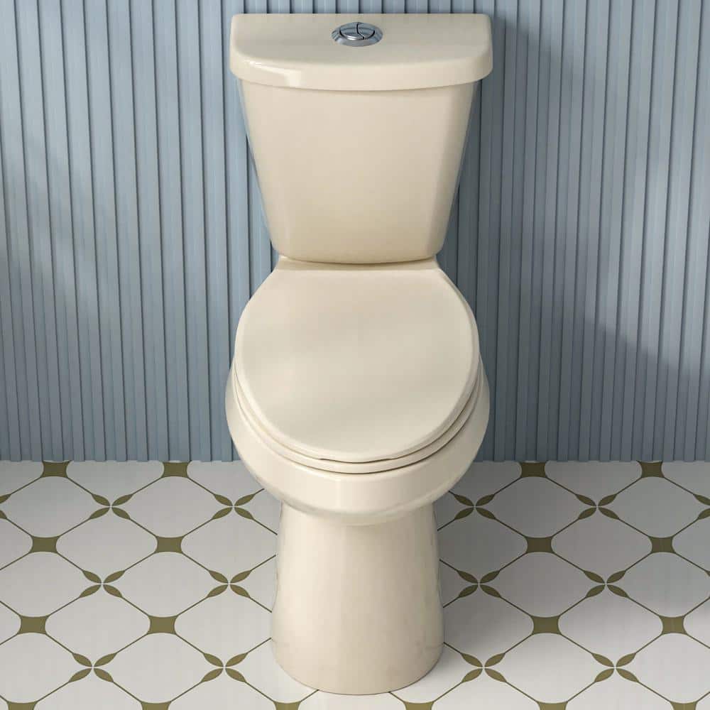 19 in. Tall 2-Piece 1.1/1.6 GPF Dual Flush Map Flush 1000 g Elongated 2-Pie