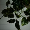 Nearly Natural 24in UV-Resistant Artificial Pothos Vine w/ LED Lights Hanging Basket