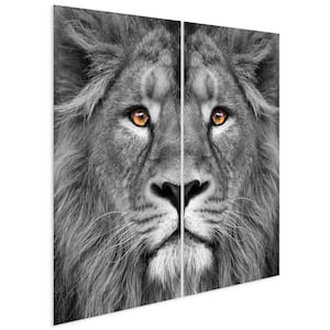 "King of the Jungle" Unframed Free Floating Tempered Glass Panel Graphic Diptych Wall Art Print 72 in. x 36 in. Each