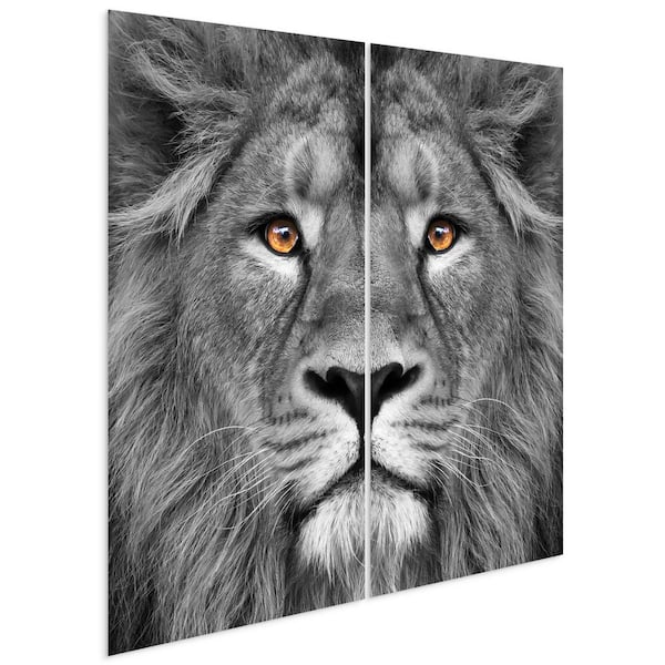 Empire Art Direct "King of the Jungle" Unframed Free Floating Tempered Glass Panel Graphic Diptych Wall Art Print 72 in. x 36 in. Each