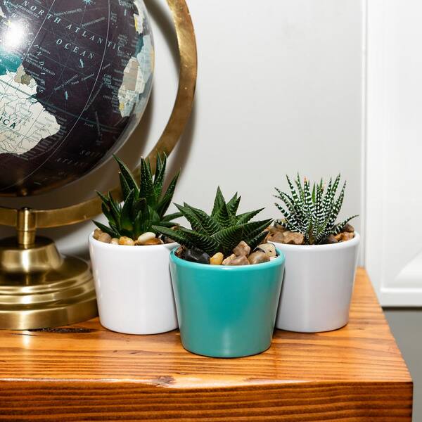 Succulent Planter –4”+5”+6” inch Ceramic Flower Pot with Drainage Hole –  TreeLen