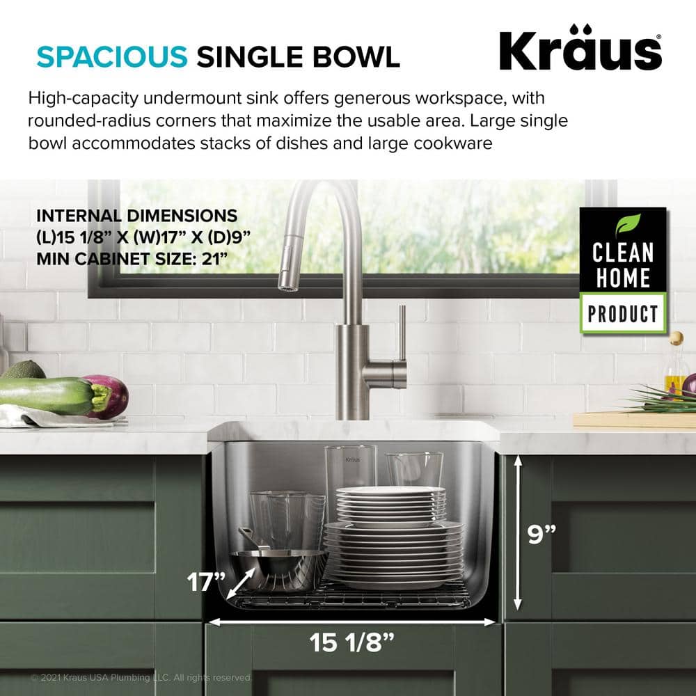 Dex 17" Stainless Steel Single Bowl Undermount Kitchen Sink