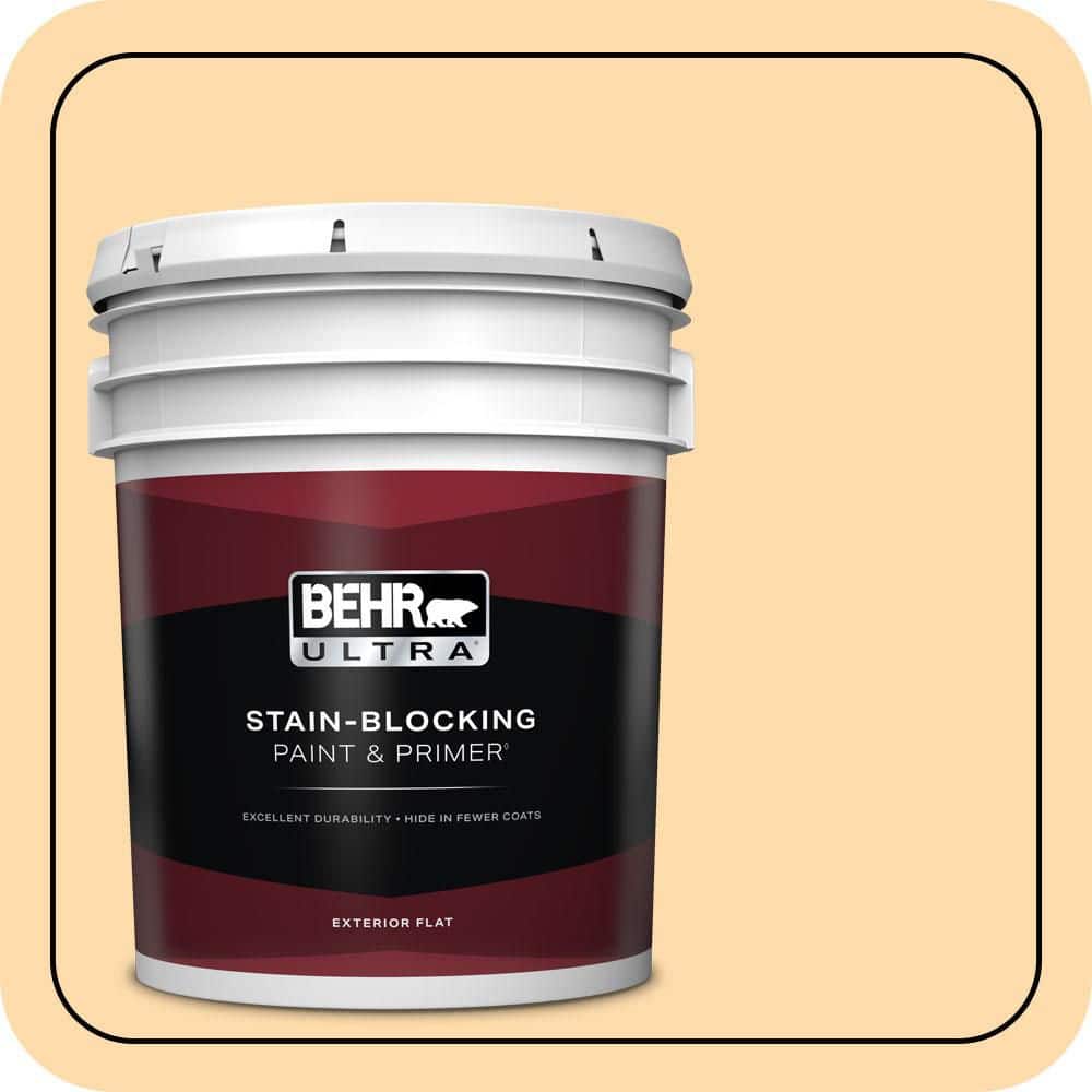 5 gal. #P240-2 Peach Glow Flat Exterior Paint & Primer price history on PriceWatchPro