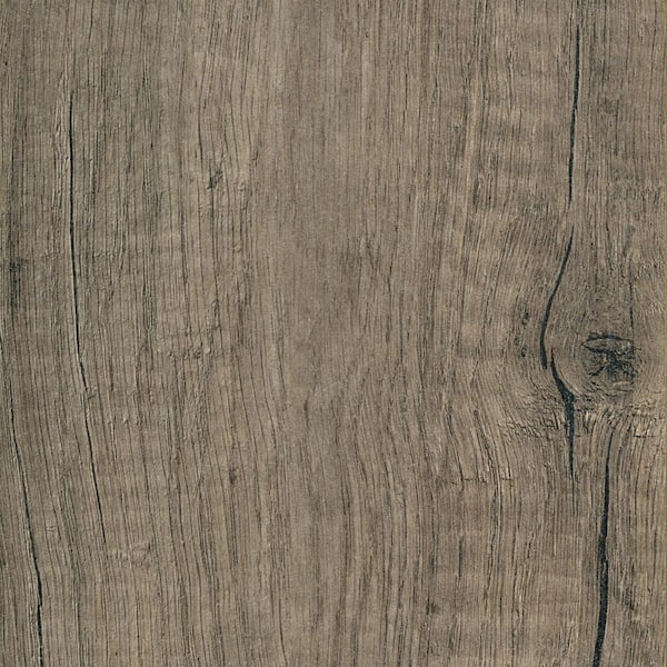 HOMELEGEND Textured Oak Carolina 12 mm Thick x 6.34 in. Wide x 47.72 in. Length Laminate Flooring (756 sq. ft. / pallet)
