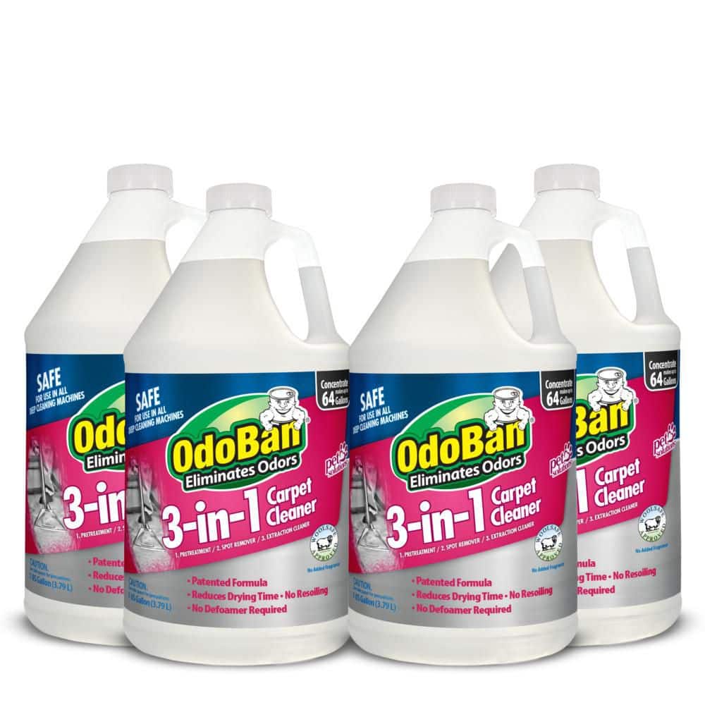 1 Gal. 3-in-1 Carpet Cleaner Concentrated Carpet Cleaning Solution, Fragrance Free (4-Pack) price history on PriceWatchPro