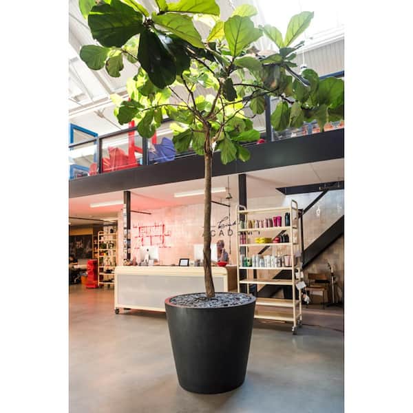 Bucket Large 24 in. Tall Black Fiberstone Indoor Outdoor Modern Round Planter