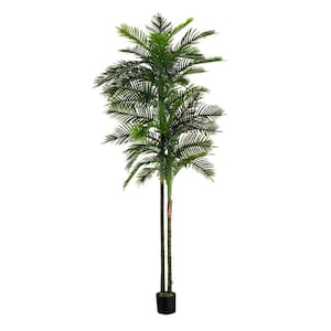 10 ft. UV Resistant Artificial Double Robellini Palm Tree (Indoor/Outdoor)