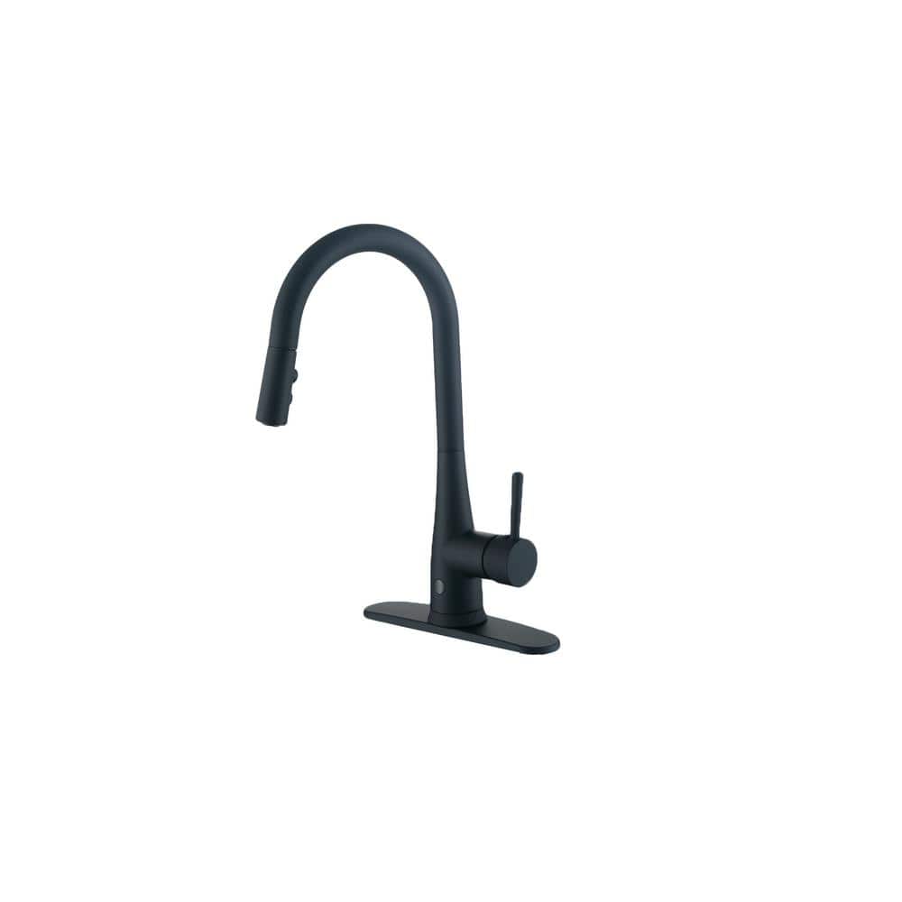 Runfine Single-Handle Pull-Down Sprayer Kitchen Faucet and Hands-Free in Matte Black -  RF415002