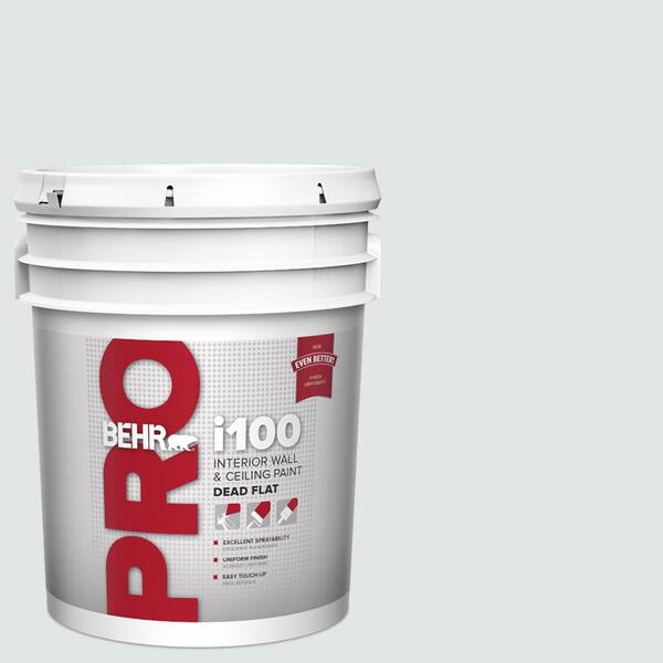 5 gal. #BL-W02 Ice Sculpture Dead Flat Interior Paint