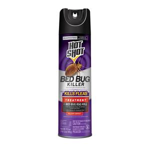 17.5 oz. Bed Bug and Flea Killer Aerosol Spray Treatment with Egg Kill