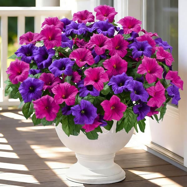 HALLELUJAH 2-2 Pettpants オフホワイト 38 4 Bundles 15.7 in. Purple Indoor/Outdoor Artificial Petunia Flower