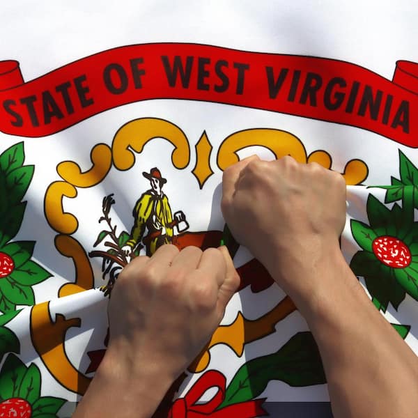 ANLEY 3 ft. x 5 ft. Polyester Double-Sided 3-Ply West Virginia State Flag Rip-Proof Technology