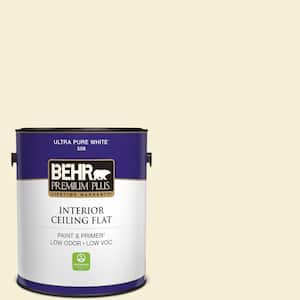 1 gal. #W-B-320 White Corn Ceiling Flat Interior Paint