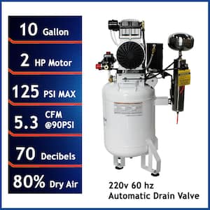 10 Gal. 2 HP Ultra Quiet and Oil-Free Stationary Electric Air Compressor with Air Dryer and Auto Drain Valve