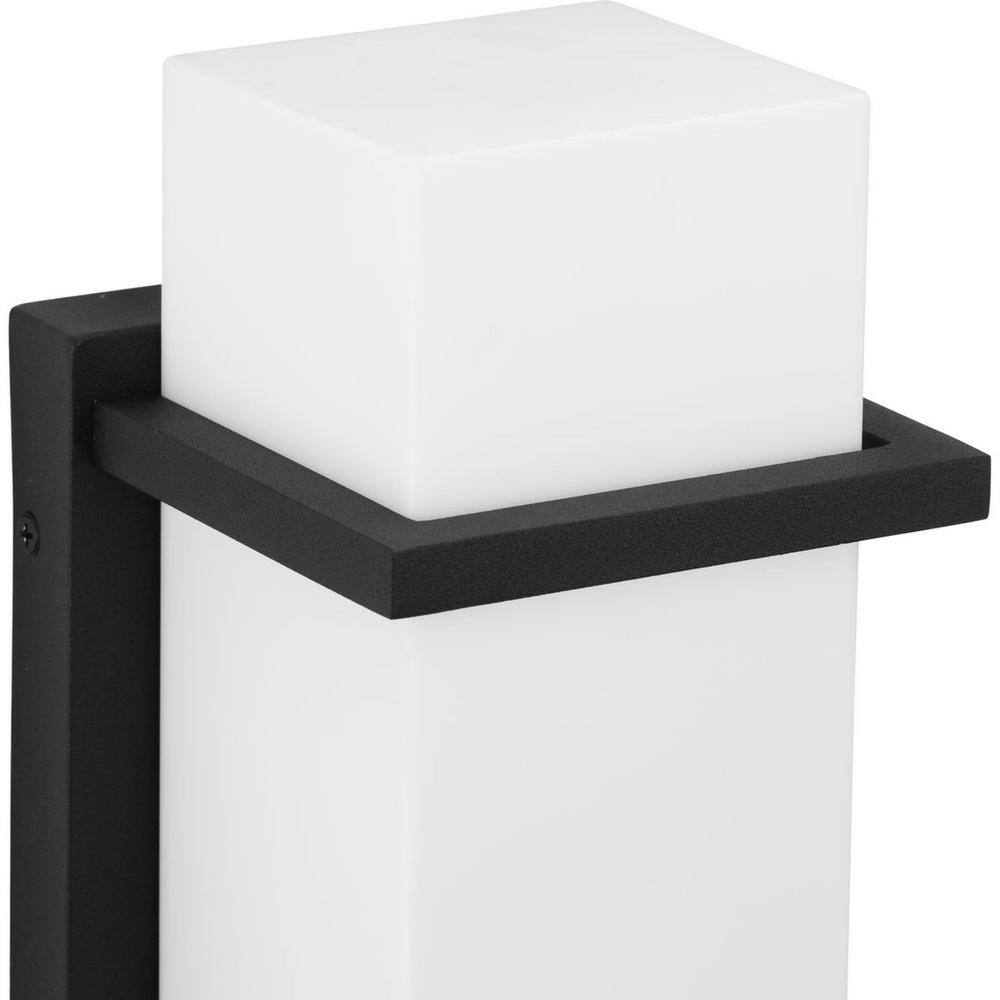Black Modern Medium Outdoor Wall Lantern with Acrylic Shade