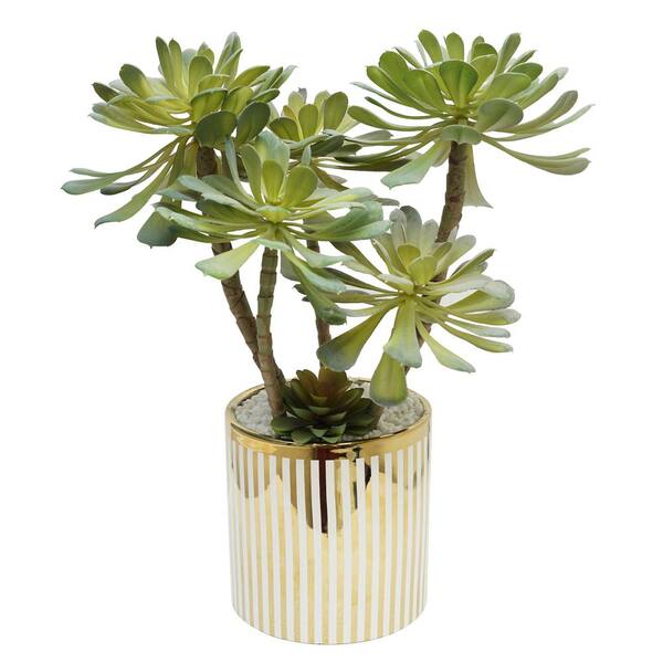 A & B Home Green/White/Gold Striped Potted Succulent Stem in Plated Pot