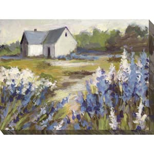 40 in. x 30 in. Outdoor Meadow Blue Farm Art