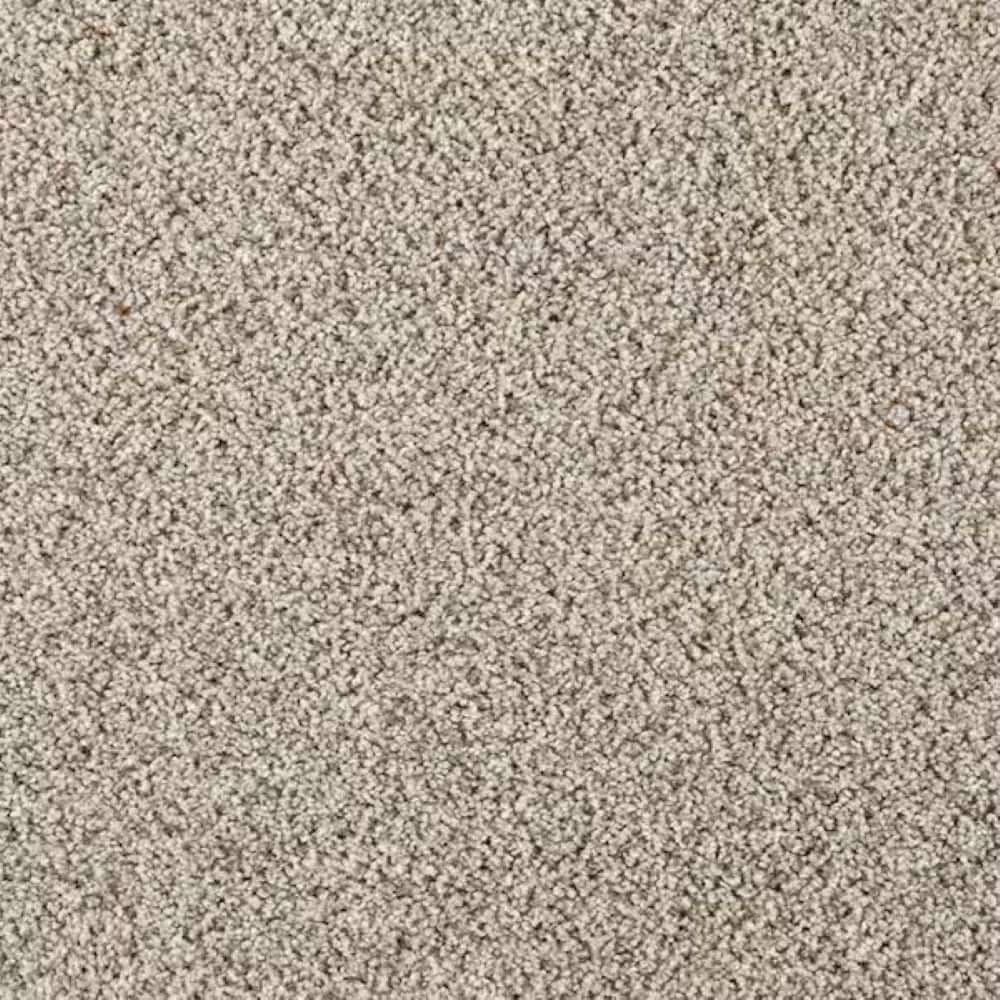 8 in. x 8 in. Texture Carpet Sample-Rockaway II-Color Nantucket price history on PriceWatchPro