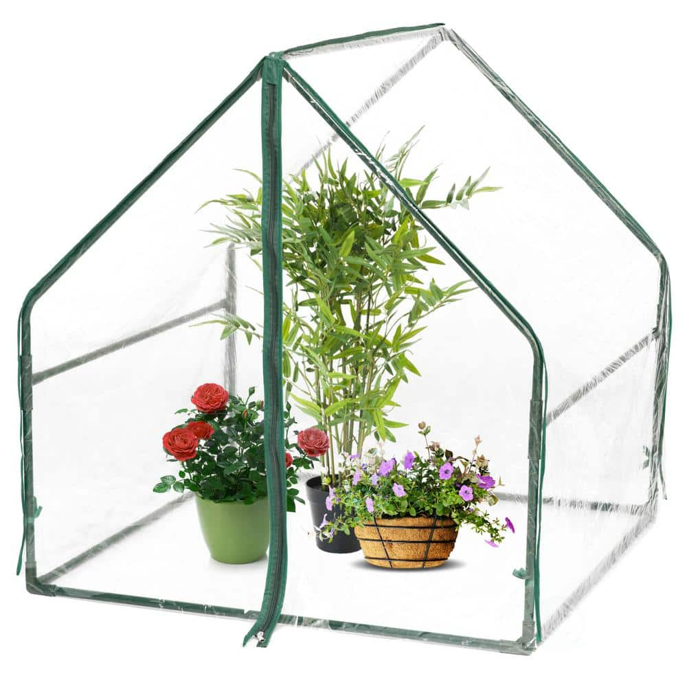 Large Glass Plant Terrarium – House Succulent Glass Terrarium Kit with Lip  Glass Greenhouse Terrarium for Plant (Black 1) : : Garden &  Outdoors