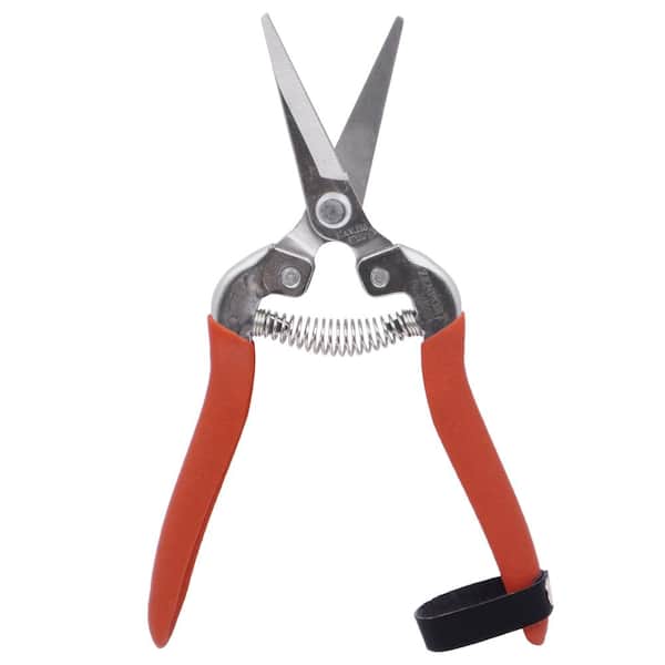 ZENPORT:Zenport Harvest Shear, Long Curved Stainless Steel Blade, (Box of 3)