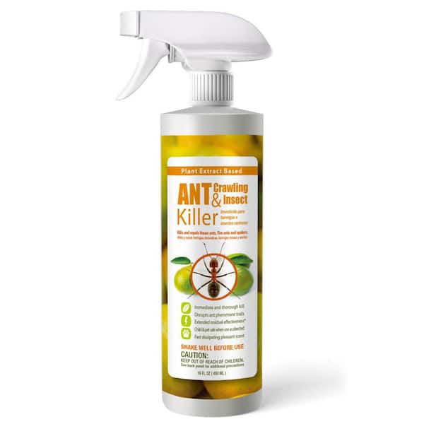 Ant Insect Killer/Repellent by EcoRaider 16 oz., Instant Kill, 4-Week Deterrence, Plant-Based, Child/Pet-Safe