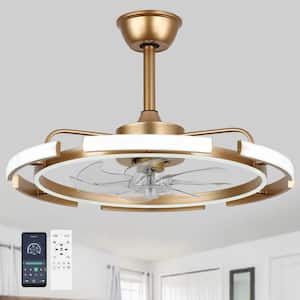 Meyer 24 in. Indoor French Gold 6 DIY Shapes Smart Ceiling Fan with Remote Futuristic UFO Design 6-Speed LED Fan lights
