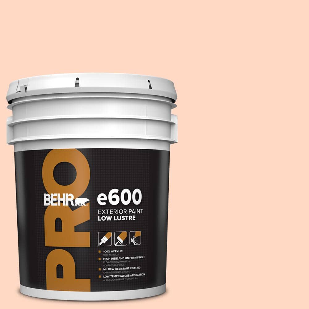 5 gal. #230C-2 Shell Coral Low Luster Exterior Paint price history on PriceWatchPro