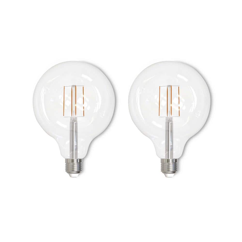60-Watt Equivalent G40 Clear Dimmable Edison LED Light Bulb Warm White (2-P
