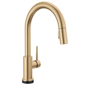Trinsic Touch2O Single-Handle Pull-Down Sprayer Kitchen Faucet (Google Assistant, Alexa Compatible) in Champagne Bronze