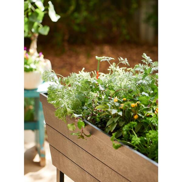 H Brown Resin Raised Garden Bed Urban Bloomer 32.3 in L x 30.7 in 2-Pack 
