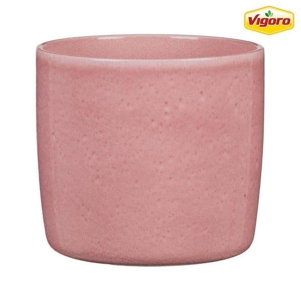 Scheurich 8.3 in. (21 cm) Dia./7 in. Tall Solido Resea Pink Ceramic Pot Twin Pack, Rosea Pink