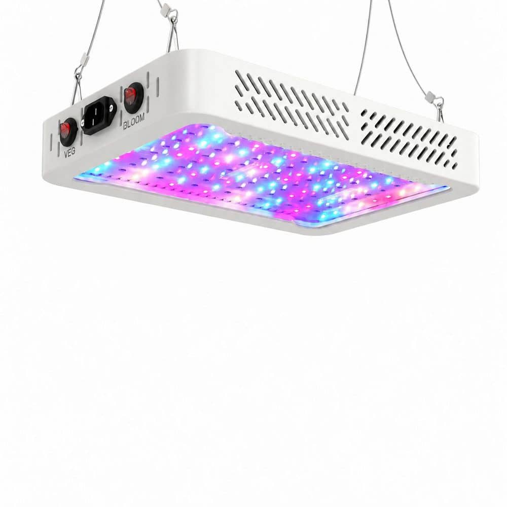 BeamBox 1000W Full Spectrum LED Grow Light Fixture for Indoor Plants, Dimmable Plant Lamp for Hydroponic Veg and Flower