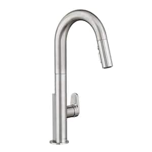 Beale Single-Handle Pull-Down Sprayer Kitchen Faucet in Stainless Steel