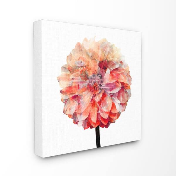 The Stupell Home Decor Collection 30 In X 30 In Bright Coral Watercolor Bloom Dahlia Flower By Kimberly Allen Canvas Wall Art Ccp 309 Cn 30x30 The Home Depot