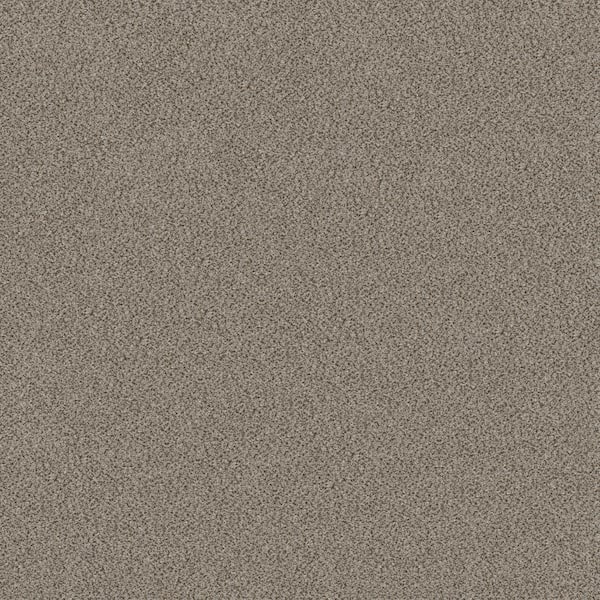 Home Decorators Collection 8 in x 8 in. Texture Carpet Sample - Columbus II - Color Thin Ice