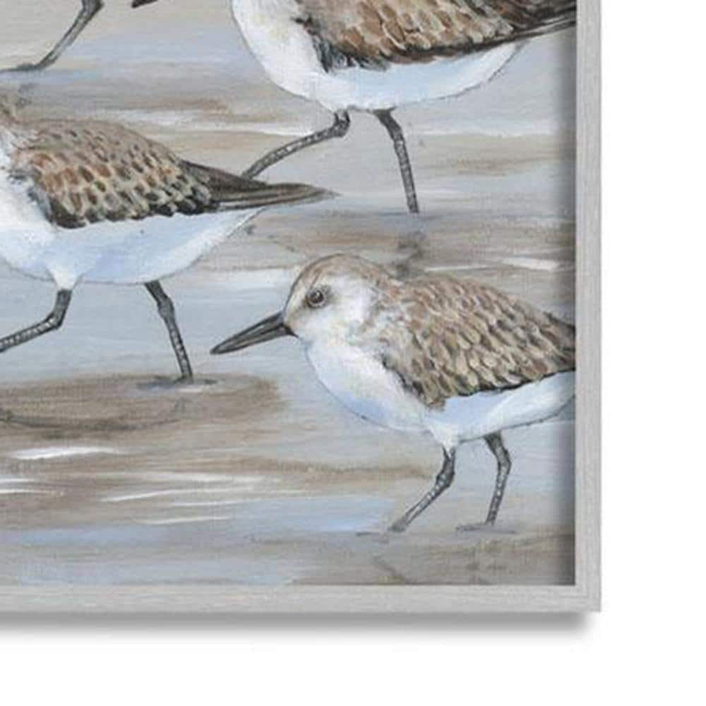 Sandpiper Bird Flock Coastal Canvas Print in Gray Frame