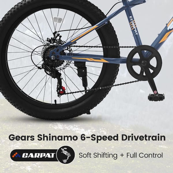 20 in. Fat Tire Mountain Bike for Adult/Youth with Full Shimano 7 Speed  ZQ-W110650941 - The Home Depot