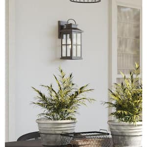 Williamston 1-Light Antique Pewter Clear Glass Farmhouse Outdoor Medium Wall Lantern Light