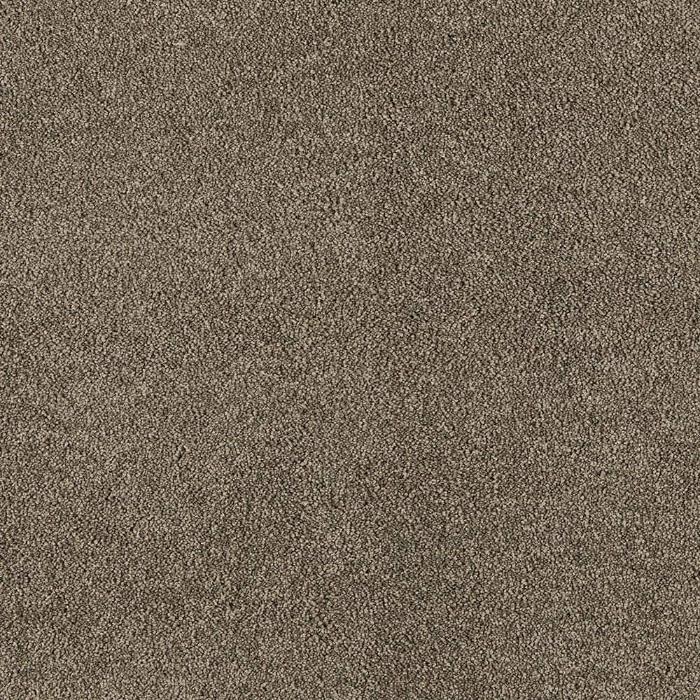 8 in. x 8 in. Texture Carpet Sample - Tailored Trends II -Color Subtle price history on PriceWatchPro