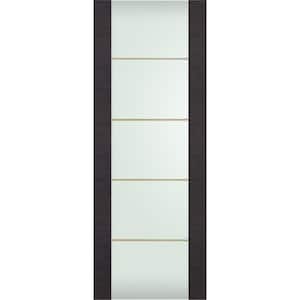 Avanti 202 4H Gold 24 in. x 80 in. No Bore Full Lite Frosted Glass Black Apricot Wood Composite Interior Door Slab